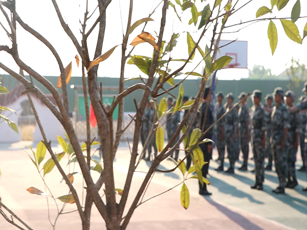 厌学教育 厌学教育